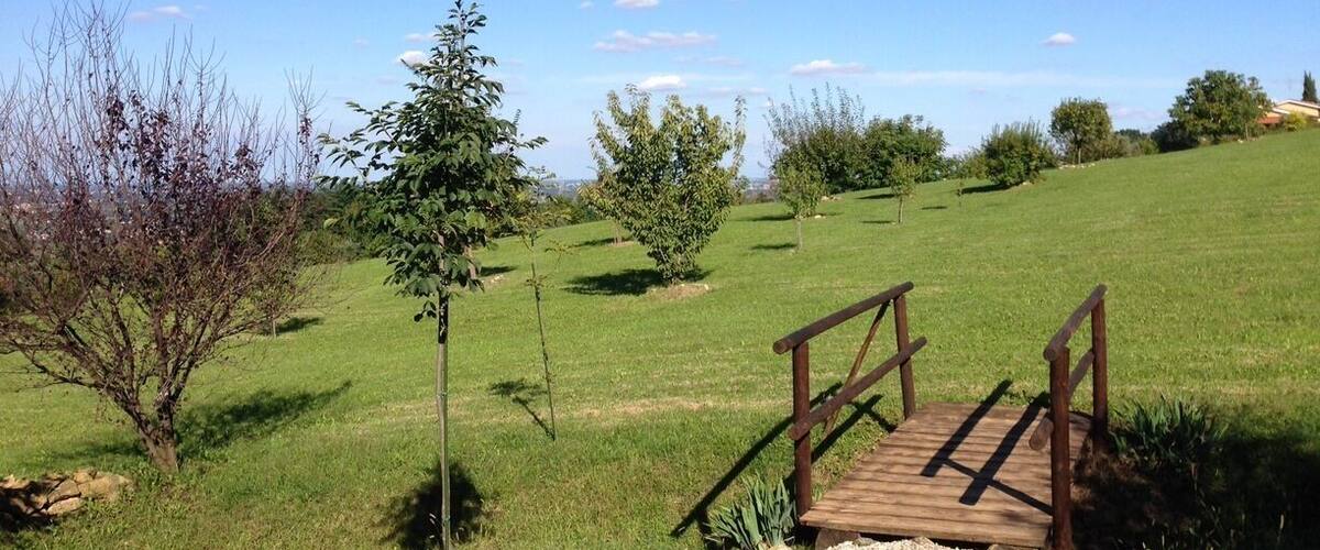 A wooden bridge over a gravel path in a grassy field with trees and a clear blue sky.