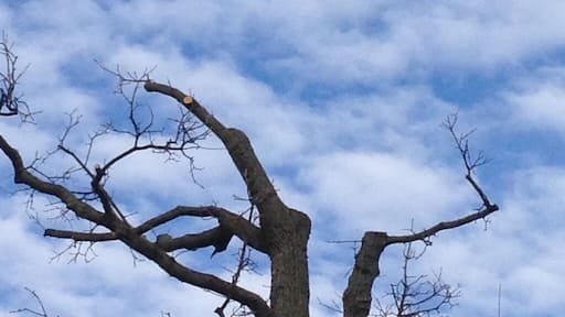Cloudy Sky and a small red aereoplane during winter time #italy #sky