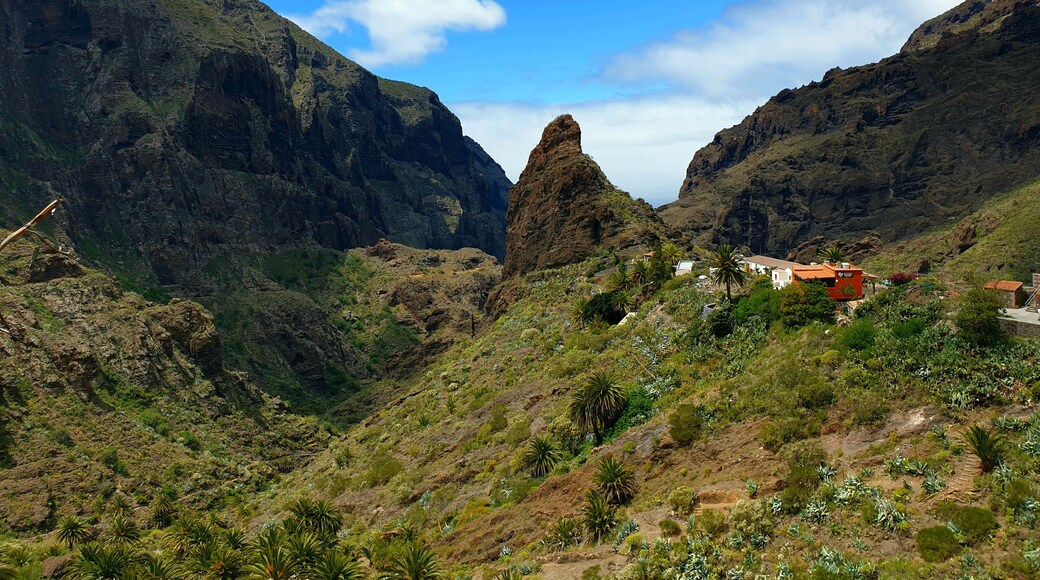 Masca is well worth a visit. The drive up has stunning views all along