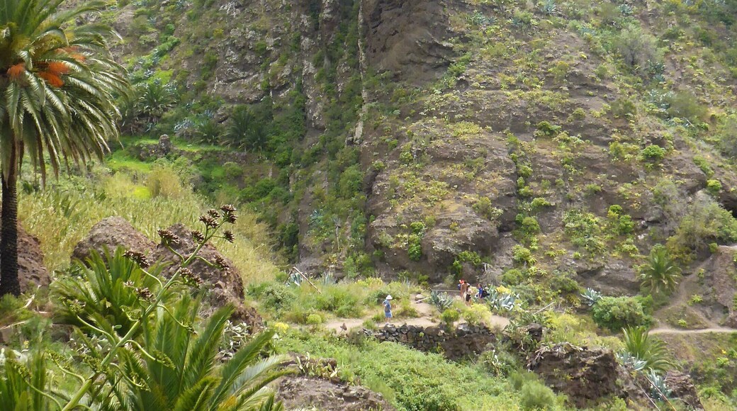 The prehistoric valley leads all the way down to the sea, the only thing missing are the dinosaurs! Strenuous walk back but stunning scenery.