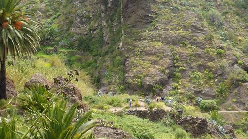 The prehistoric valley leads all the way down to the sea, the only thing missing are the dinosaurs! Strenuous walk back but stunning scenery.