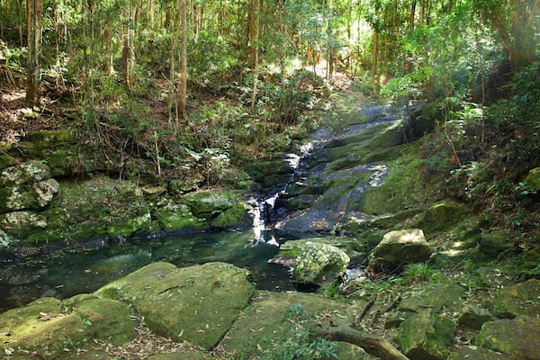 Kondalilla National Park