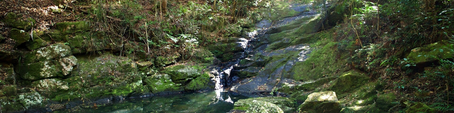 Parque nacional Kondalilla