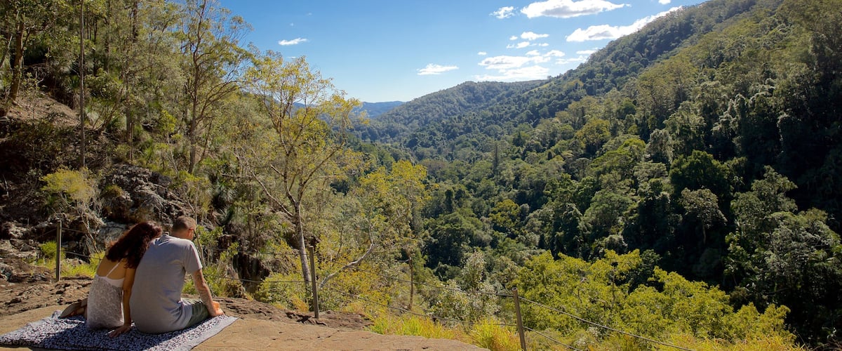 Kondalilla National Park