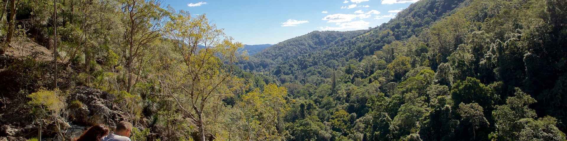 Kondalilla National Park