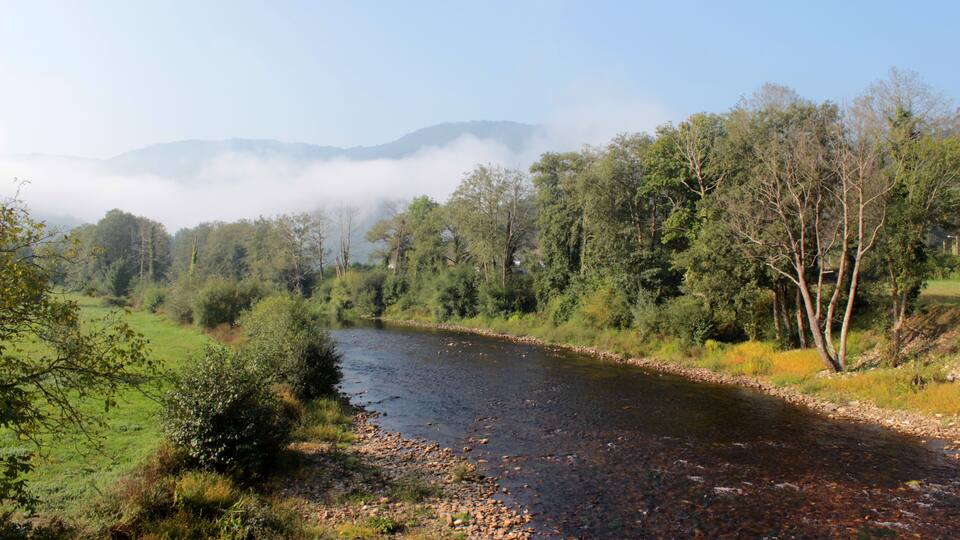 A river flowing through a forested valley with mountains in the background.
