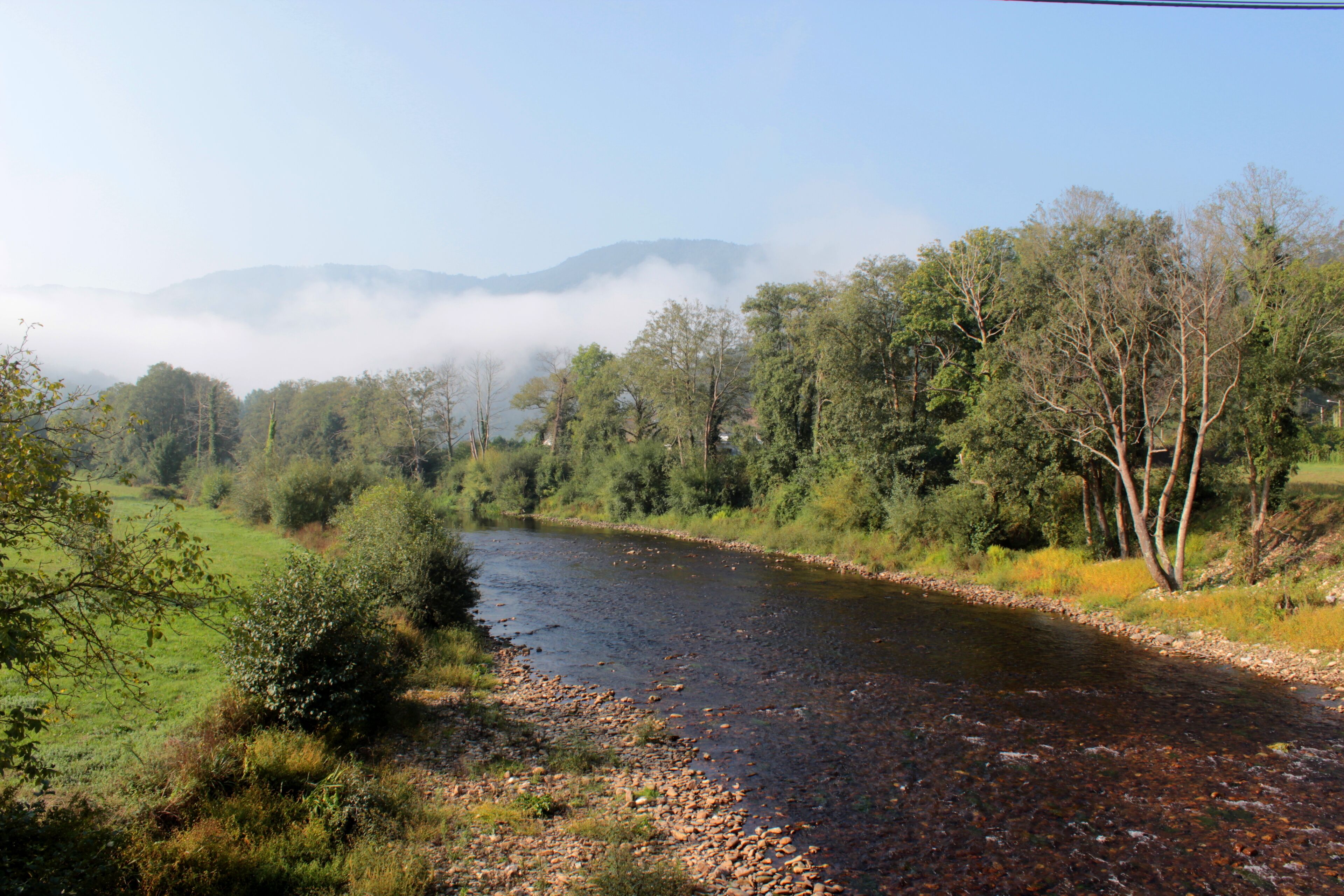 A river flowing through a forested valley with mountains in the background.