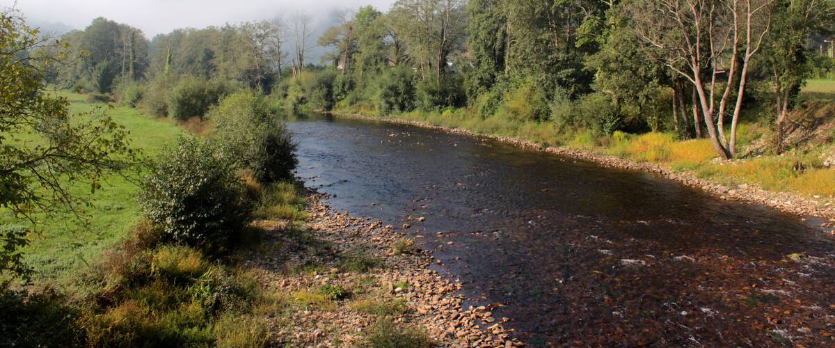 A river flowing through a forested valley with mountains in the background.