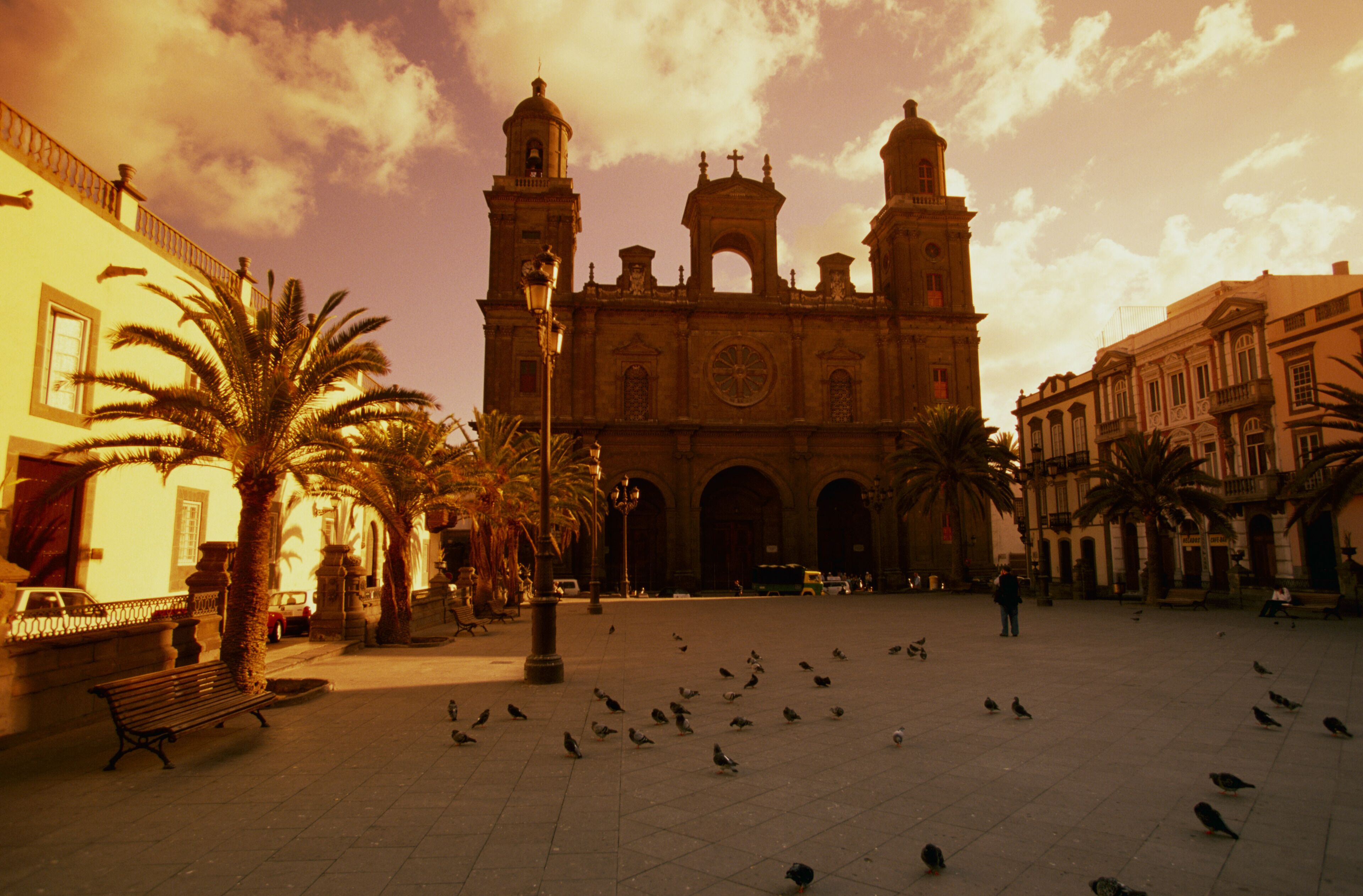 Una iglesia histórica con dos torres, rodeada de palmeras y palomas en una plaza.