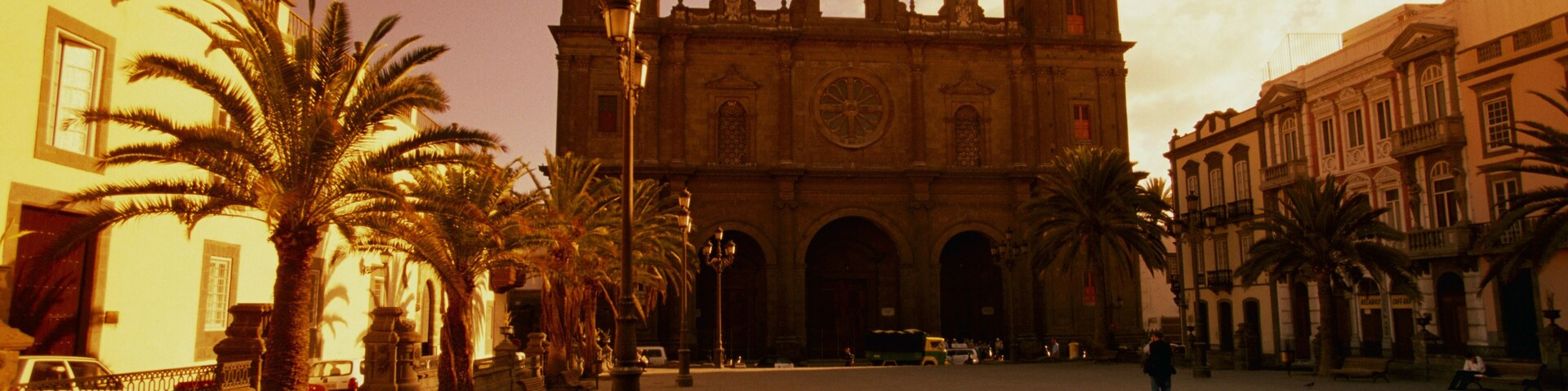 Una iglesia histórica con dos torres, rodeada de palmeras y palomas en una plaza.