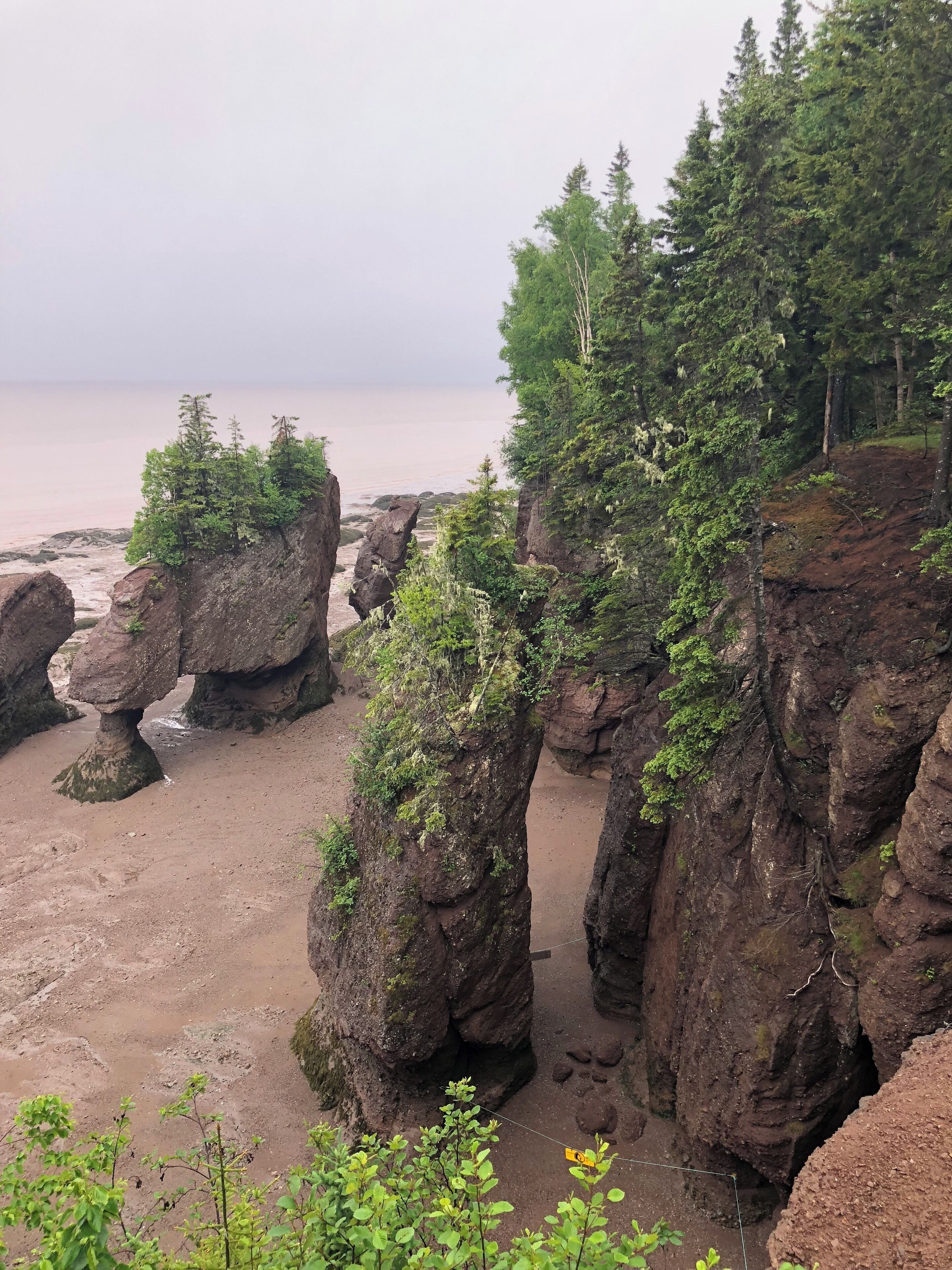 Hopewell rocks