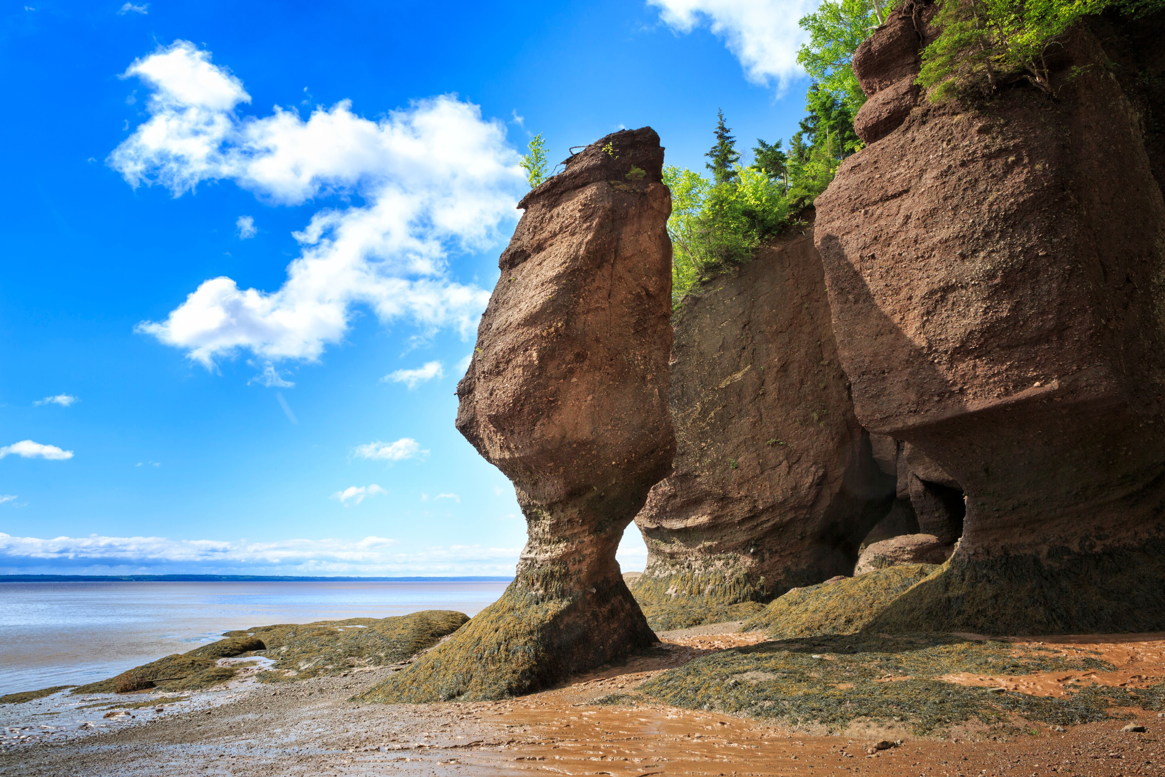 Hopewell Rocks Provincial Park, New Brunswick, Canada