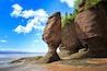 Hopewell Rocks