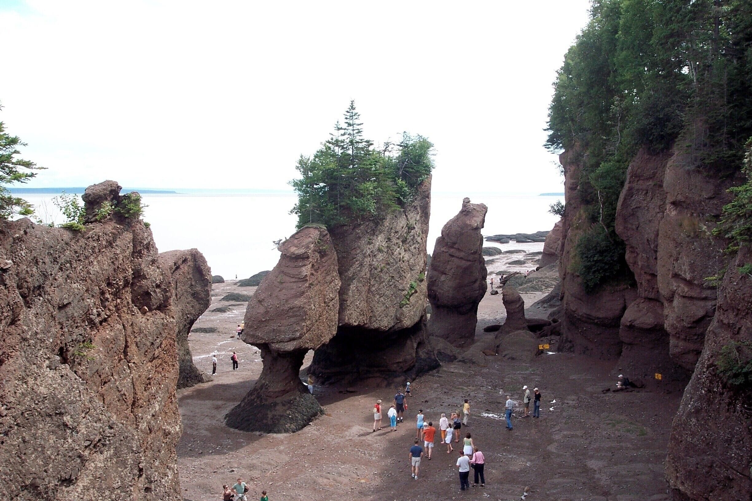 Hopewell Rocks on the Bay of Fundy are a geological treasure. Try to see them at high tide and low tide. #Maritimes #rocks