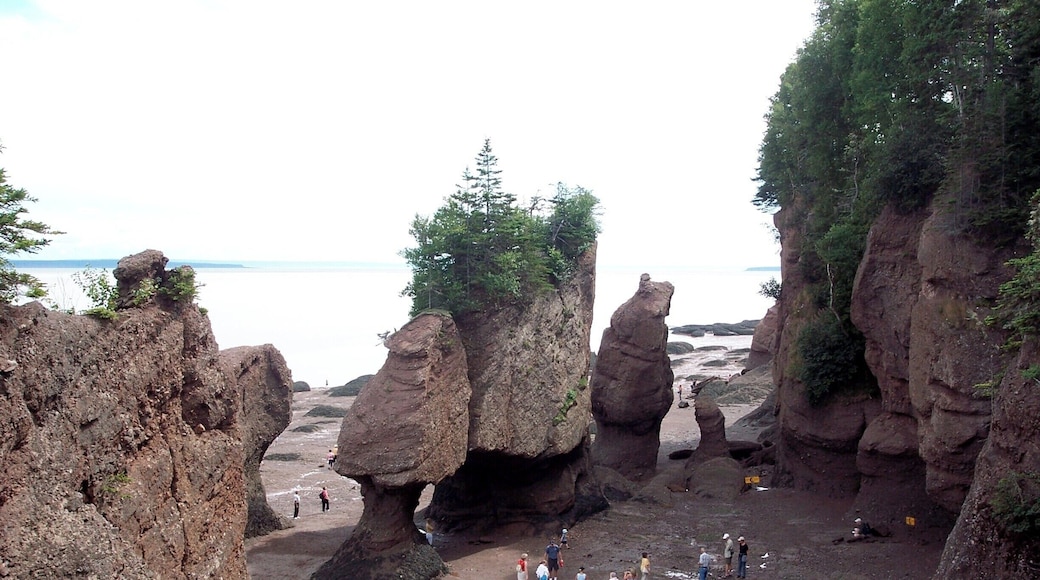 Hopewell Rocks on the Bay of Fundy are a geological treasure. Try to see them at high tide and low tide. #Maritimes #rocks