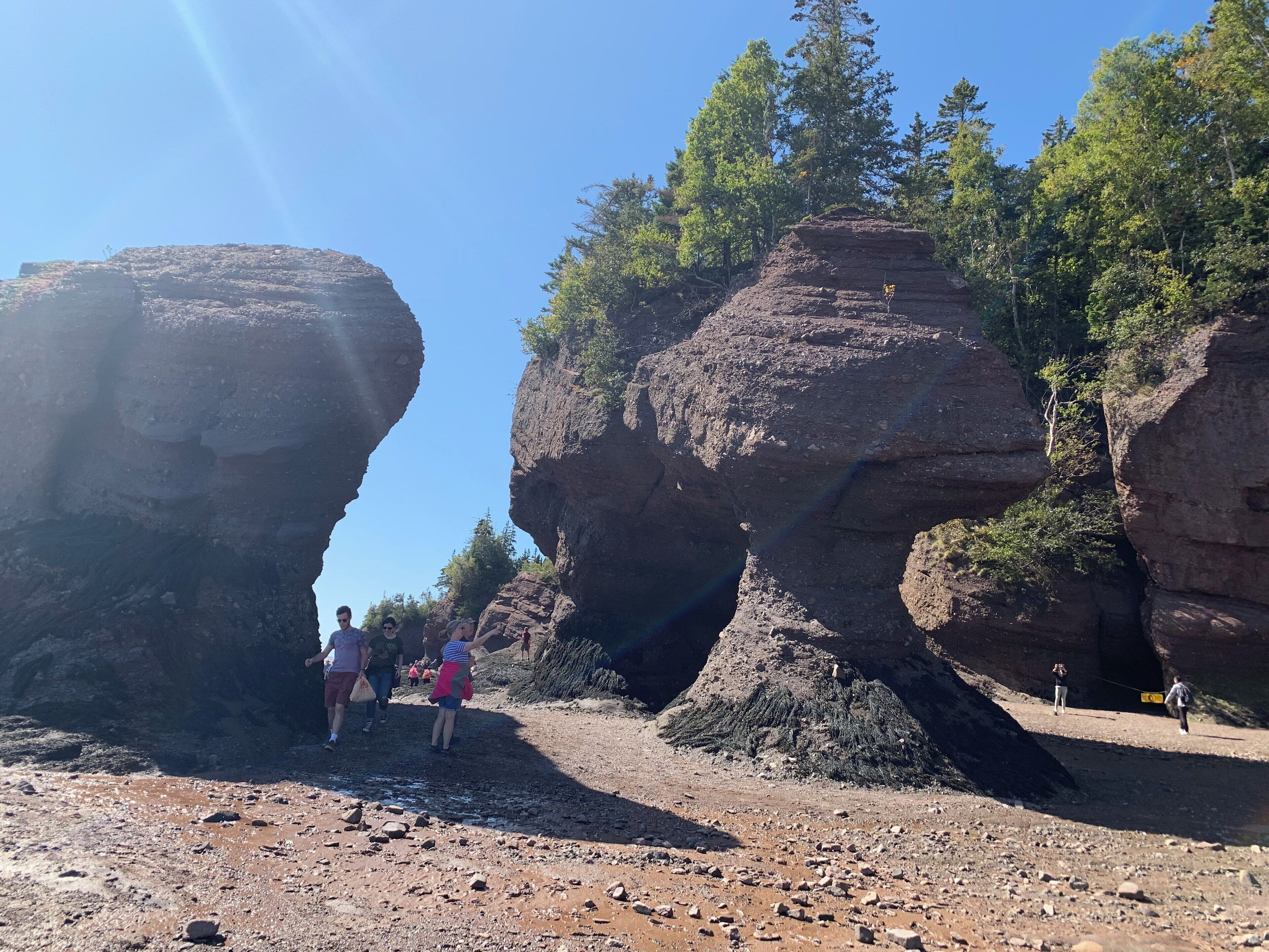 Hope well Rocks at low tide -New Brunswick, Canada.
