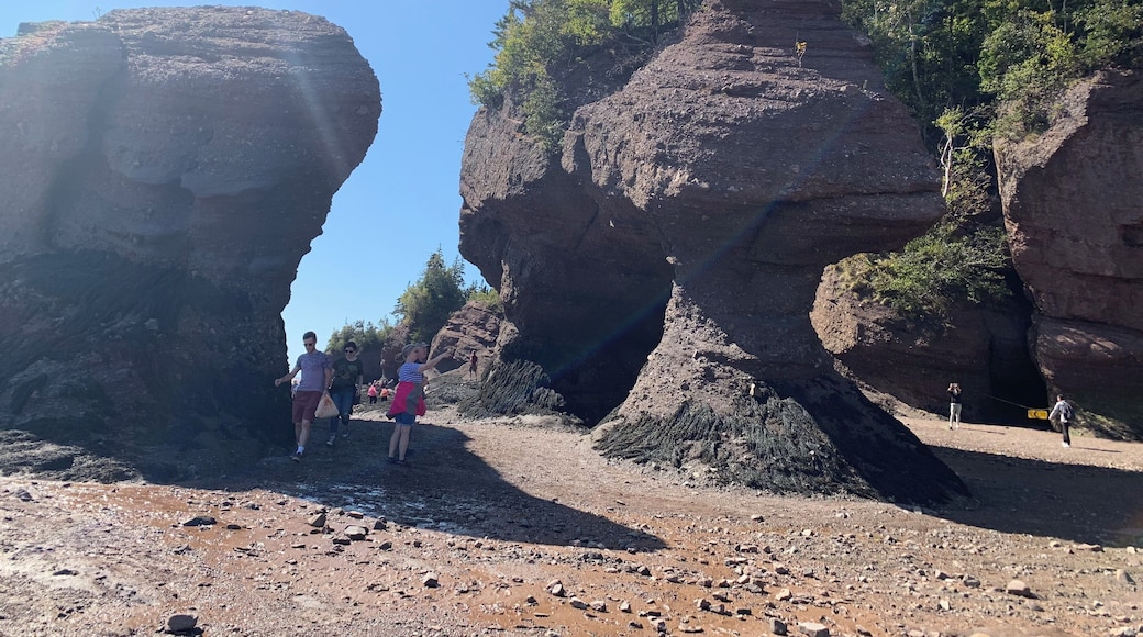 Hope well Rocks at low tide -New Brunswick, Canada.