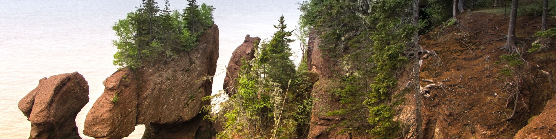 Hopewell Rocks