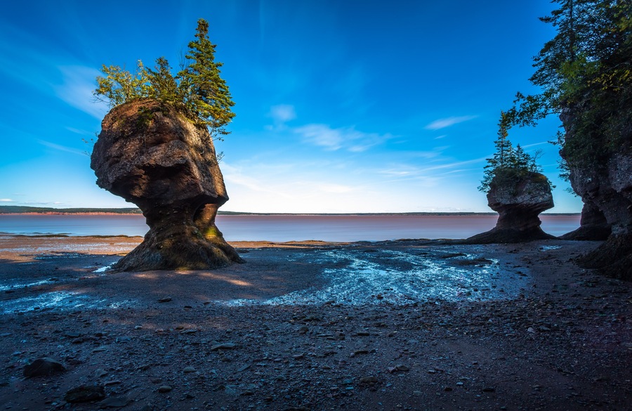 Hopewell Rocks at Low Tide