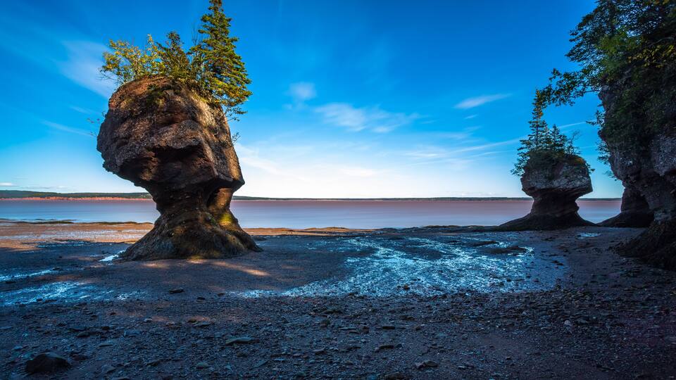 A rocky shoreline with two prominent rock formations, one with a tree growing on top, and a calm body of water in the background.