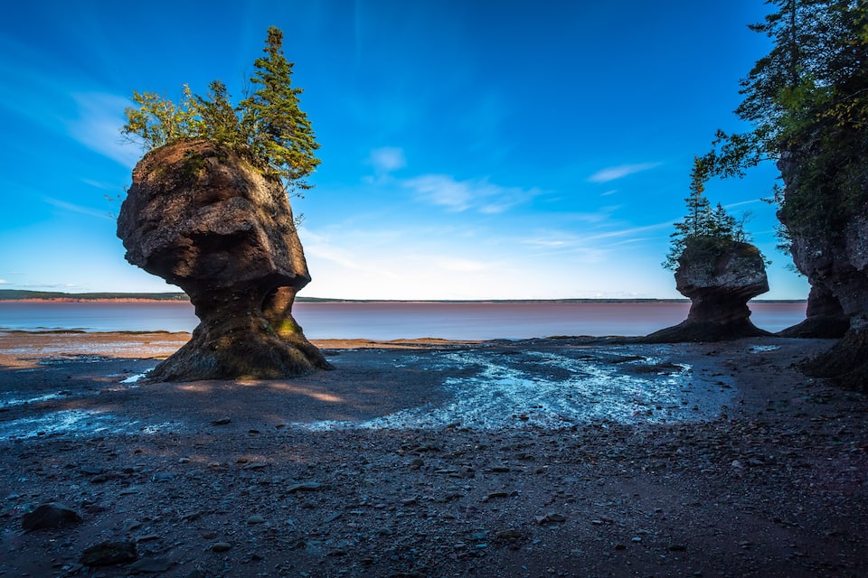 A rocky shoreline with two prominent rock formations, one with a tree growing on top, and a calm body of water in the background.