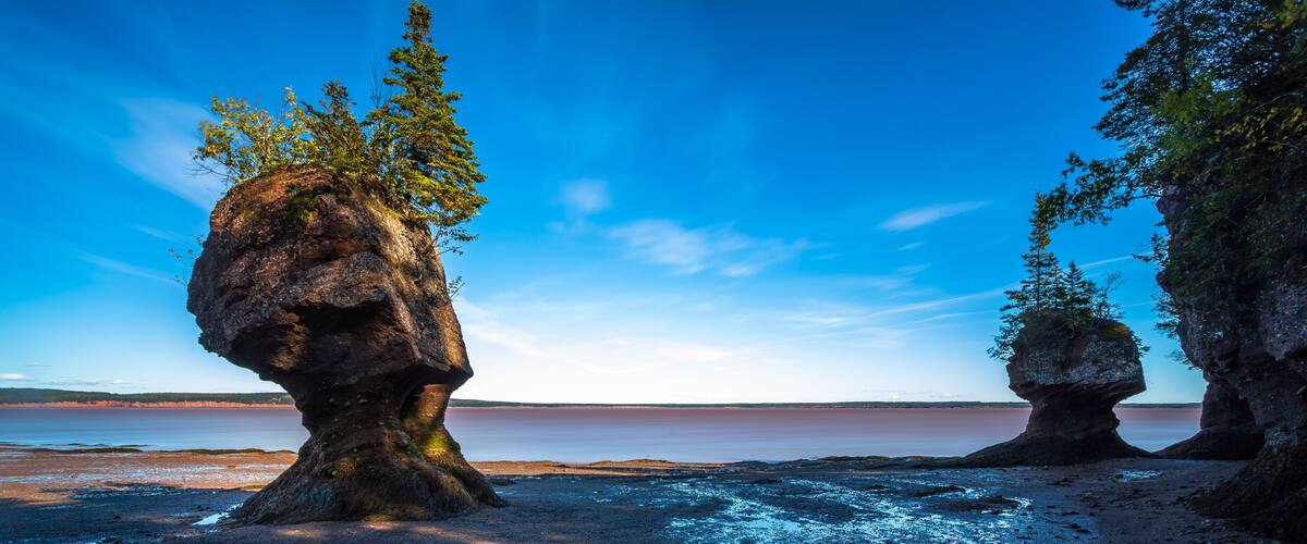 A rocky shoreline with two prominent rock formations, one with a tree growing on top, and a calm body of water in the background.