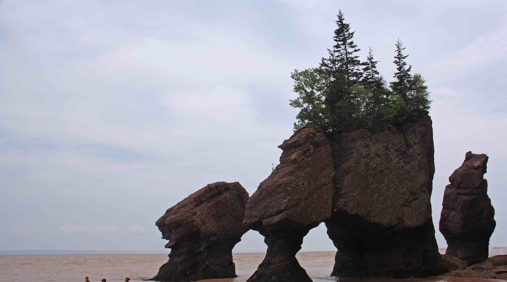 Kayaking in the Bay of Fundy around the Hopewell Rocks in New Brunswick. The highest tides in the world. We were walking around and under these rocks a few hours later.
