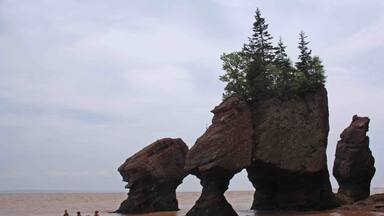 Kayaking in the Bay of Fundy around the Hopewell Rocks in New Brunswick. The highest tides in the world. We were walking around and under these rocks a few hours later.