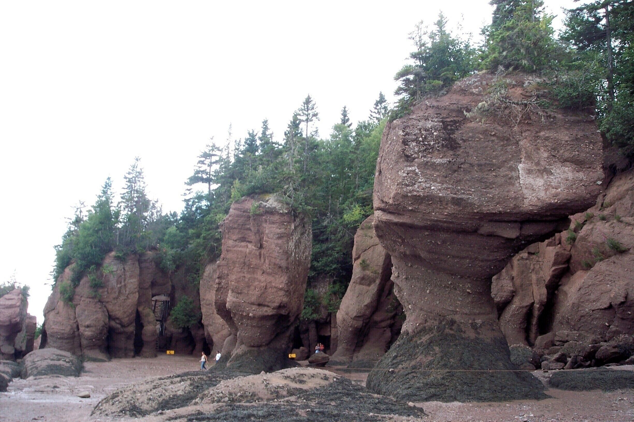 And from down on the bottom of the bay. #rocks #Maritimes
