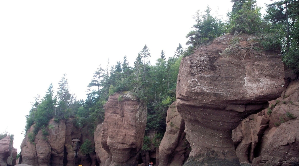 And from down on the bottom of the bay. #rocks #Maritimes