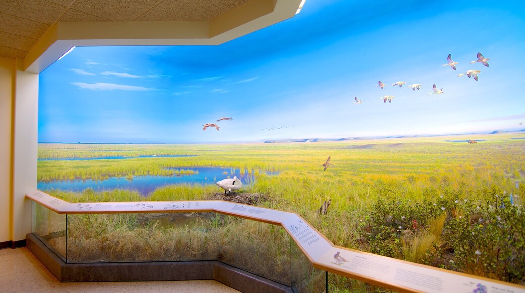 로얄 서스캐처원 박물관