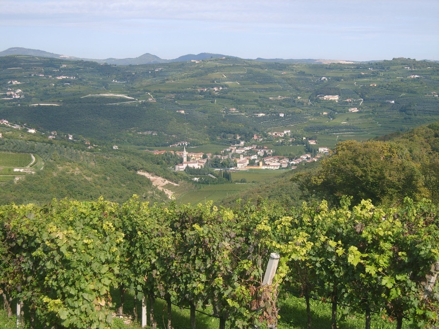 Mezzane di Sotto