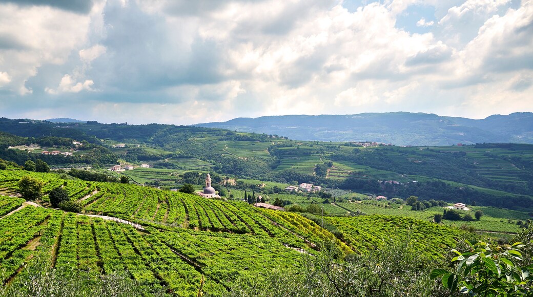 Marano di Valpolicella