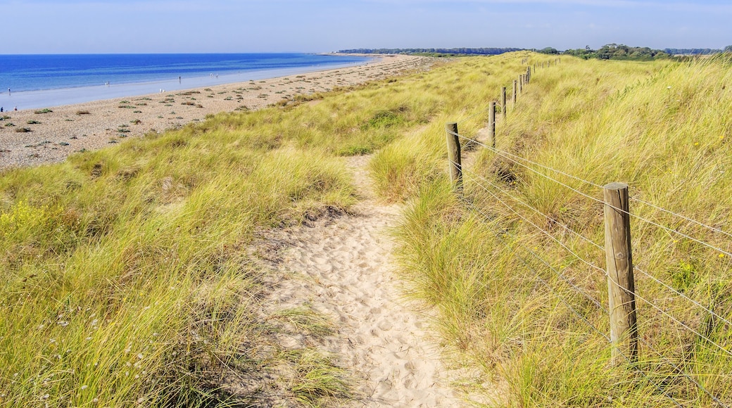Littlehampton strand