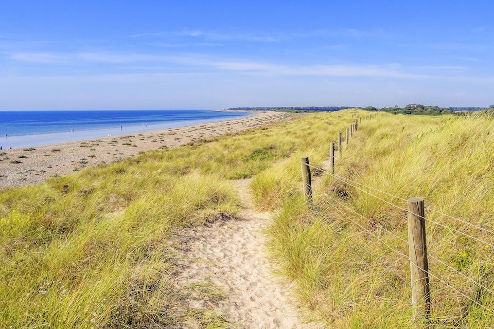 A sandy path leading to a beach with a wooden fence.