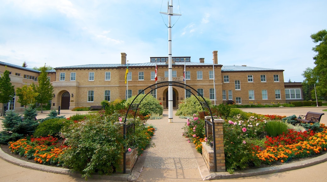 Government House showing flowers, an administrative buidling and a square or plaza