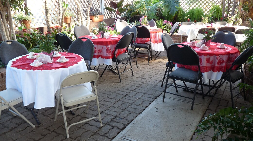 Regina Floral Conservatory which includes dining out