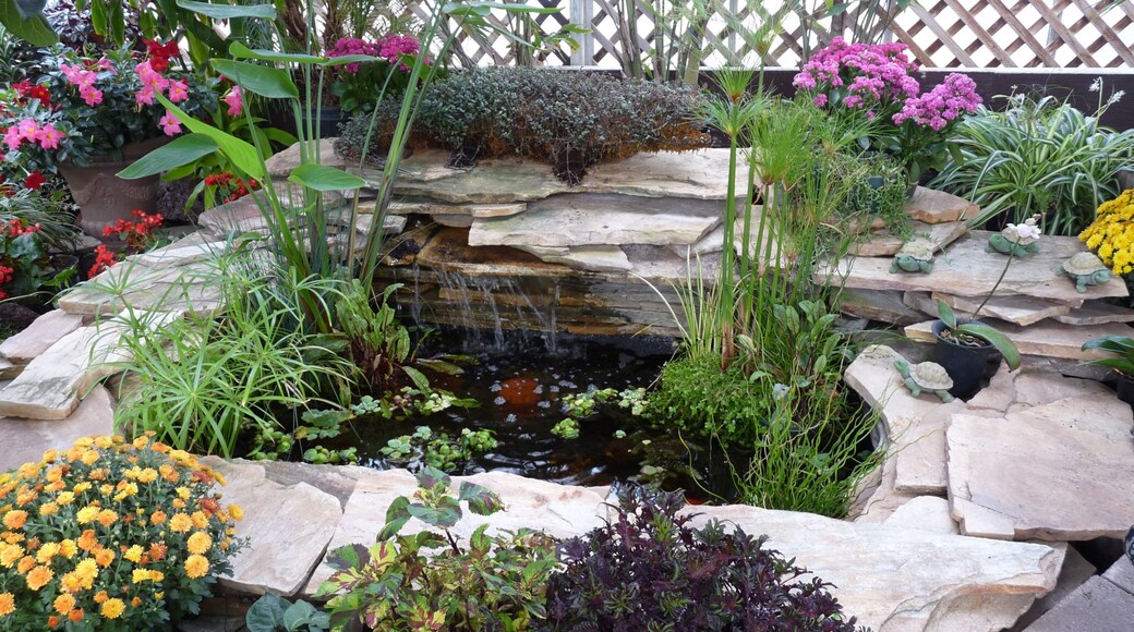 Regina Floral Conservatory showing a garden and wildflowers
