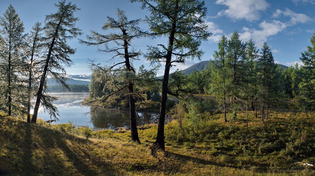 Russia, Western Buryatia. Early morning on the deserted taiga lake Guzen-Nur, hidden from prying eyes, on the left bank of the Tisa River.