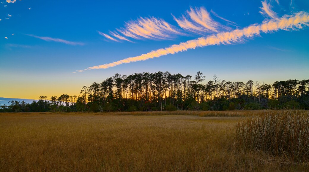 Sunset on the Avian Trail at Skidaway Island State Park, GA.