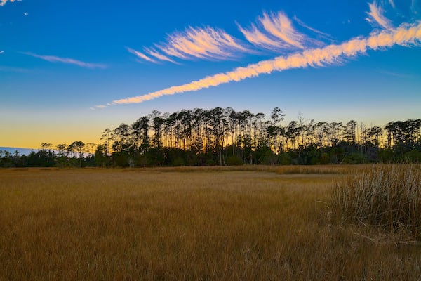 Sunset on the Avian Trail at Skidaway Island State Park, GA.