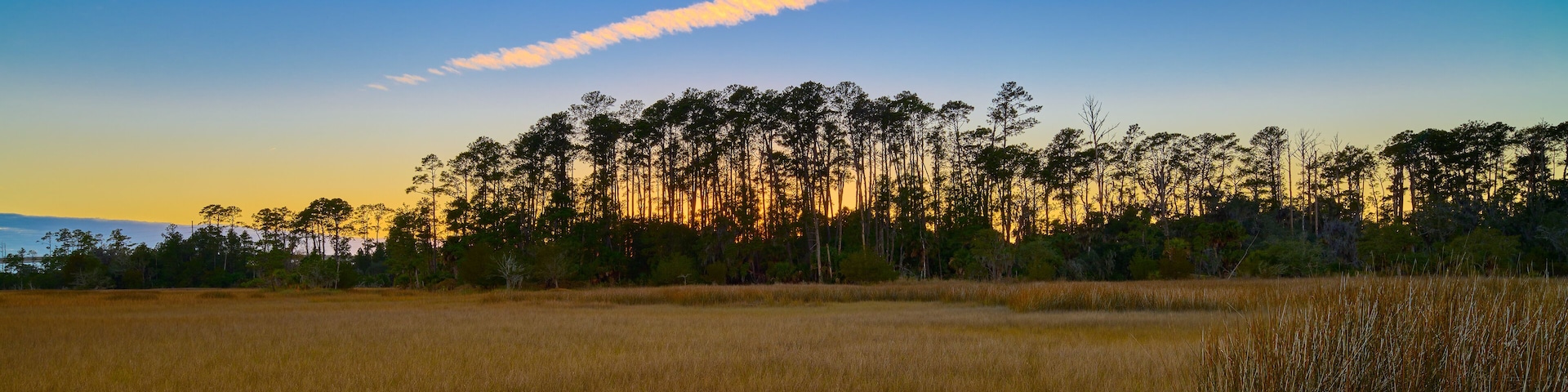 Sunset on the Avian Trail at Skidaway Island State Park, GA.