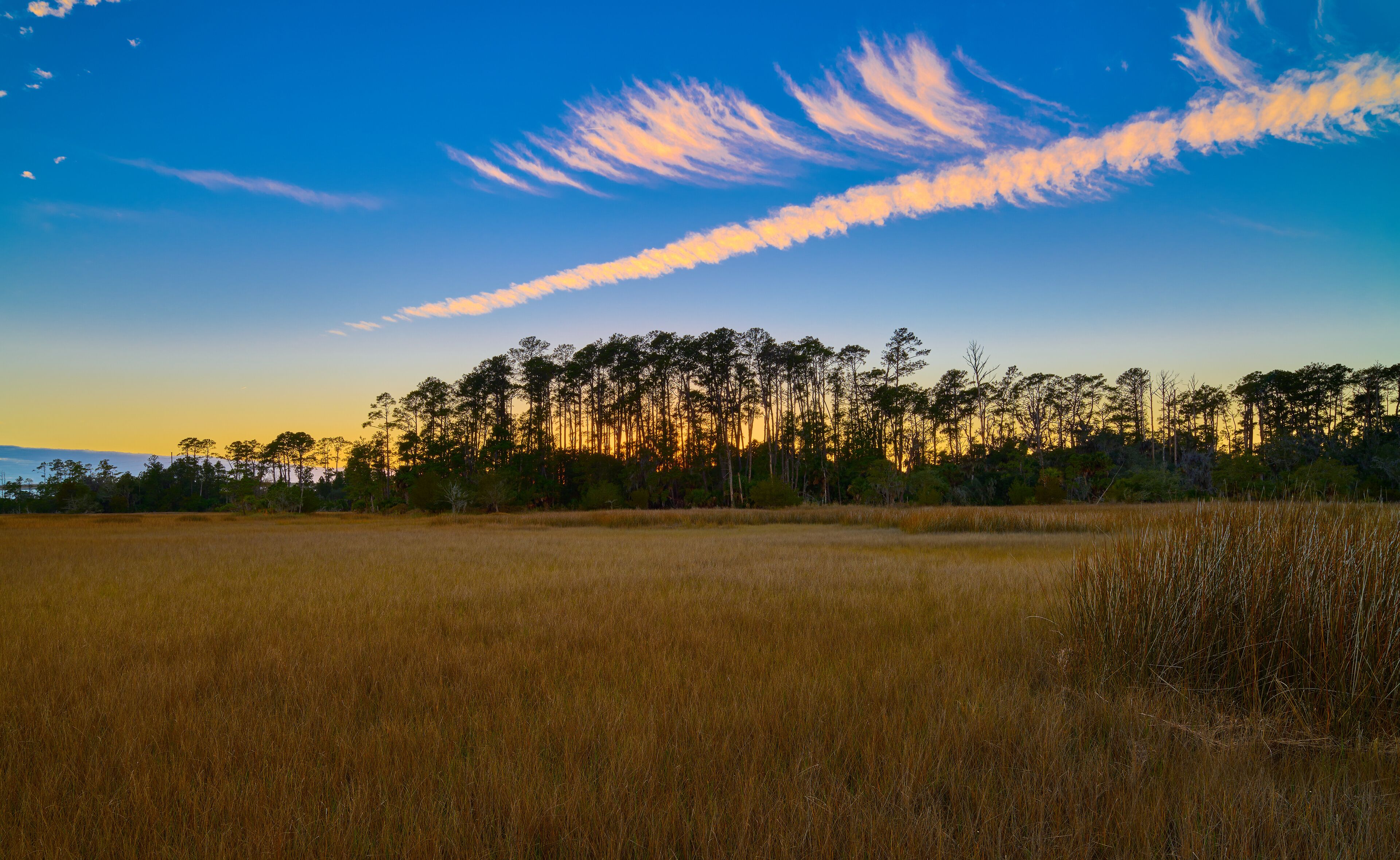 A sunset over a field with tall trees and a clear sky.