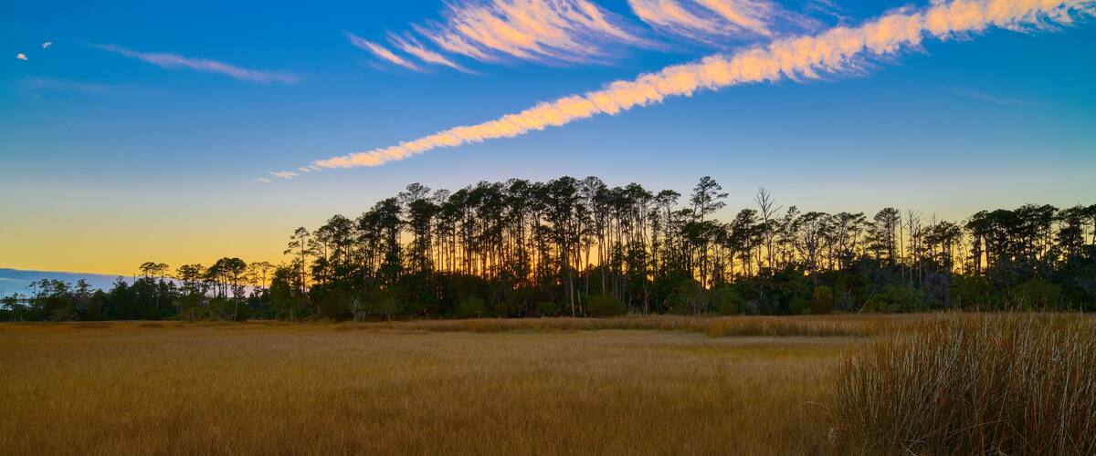 A sunset over a field with tall trees and a clear sky.