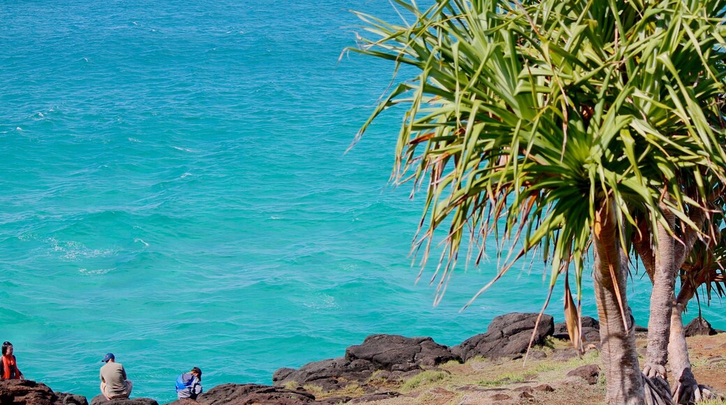 Fingal Lighthouse which includes tropical scenes, landscape views and rocky coastline