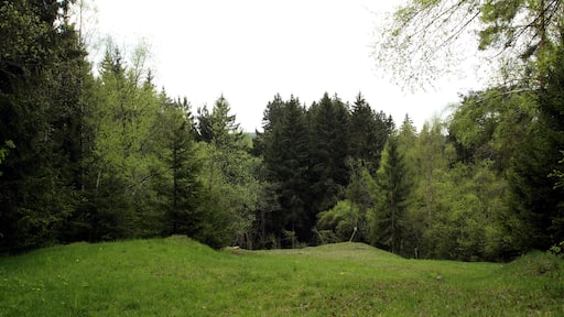 Natural monument Vernéřovské doly near Vernéřov village in Cheb District, Czech Republic