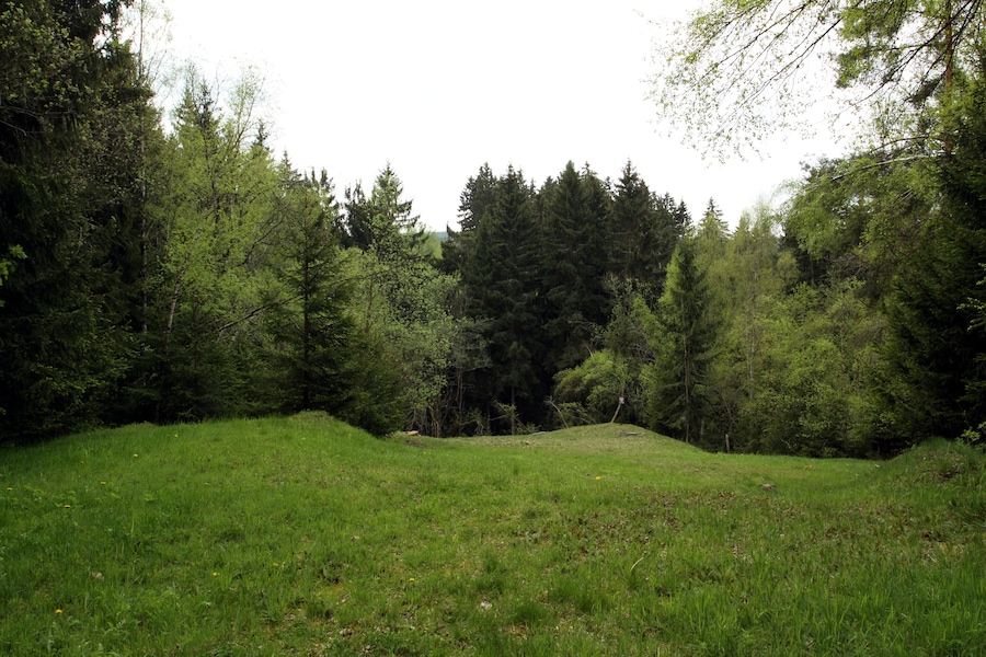 Un campo cubierto de césped con un bosque denso al fondo.
