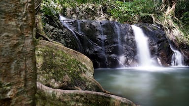 Beautiful long exposure scenery at North Jedkod Waterfall at Jedkod-Pongkonsao Ecotourism and Environmental Education Centre, Kaeng Khoi District, Saraburi, Thailand.