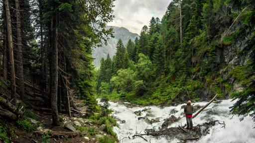 A forested area with a person standing on a fallen tree near a rushing river.