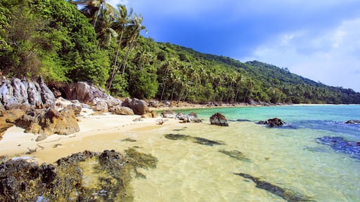 Palm tree with sunny day. Taling Ngam Beach. Koh Samui island. Thailand.; Shutterstock ID 297116357